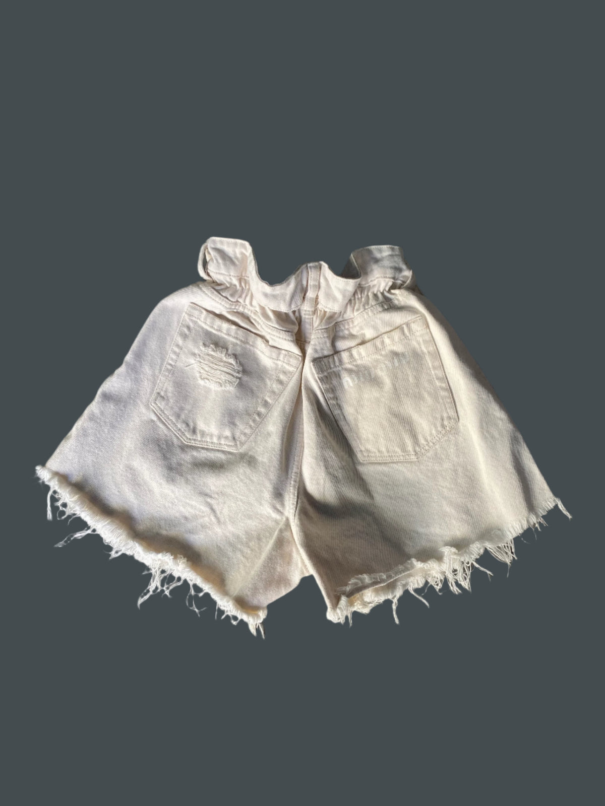 MIU MIU Shorts W25